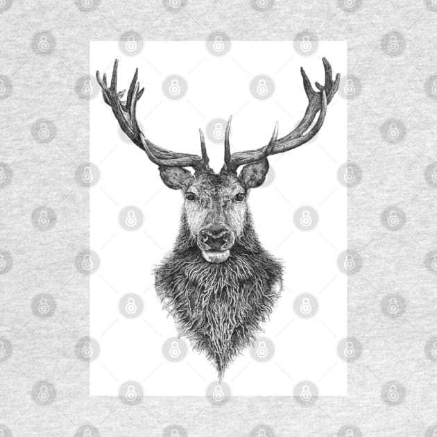 the highland stag by David Dots